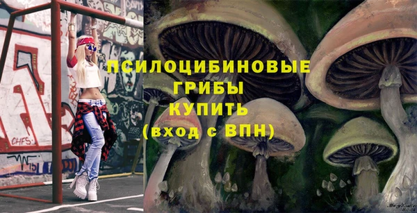 MDMA Premium VHQ Дмитриев