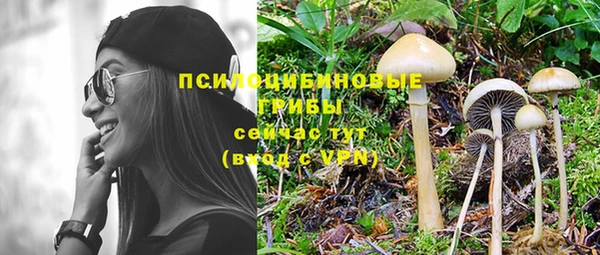 прущие крисы Володарск
