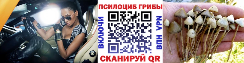 Галлюциногенные грибы ЛСД  Гусь-Хрустальный 